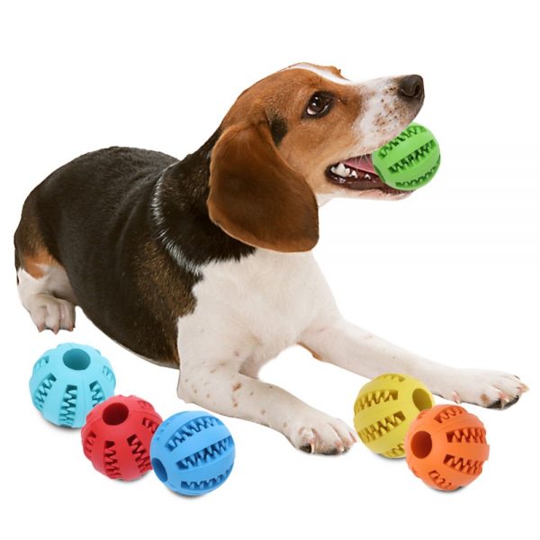 dog ball with teeth